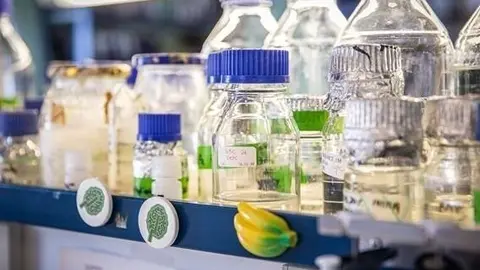 El repositorio cient&iacute;fico del CSIC crea una colecci&oacute;n con las investigaciones sobre los coronavirus