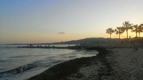 Playa de Palma de Mallorca
