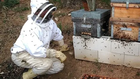 Imagen de un alumno en uno de los cursos de formaci&oacute;n de la Asociaci&oacute;n Malague&ntilde;a de Apicultores