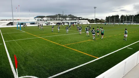 Campo de San Rom&aacute;n