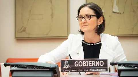 La ministra de Industria, Comercio y Turismo, Reyes Maroto, durante su intervenci&oacute;n en la Comisi&oacute;n de Industria, Comercio y Turismo  