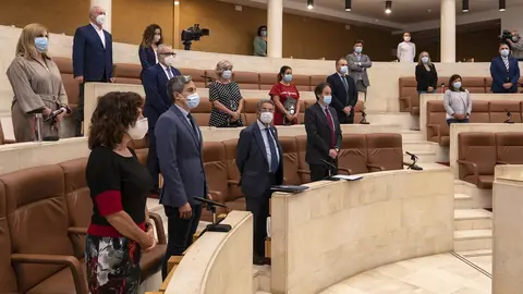 Minuto de silencio en el primer pleno tras la suspensi&oacute;n de sesiones por el estado de alarma