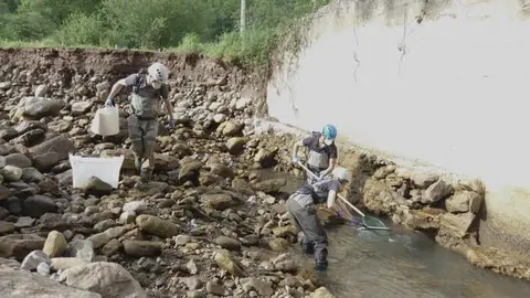 Trabajos en el r&iacute;o Argonza