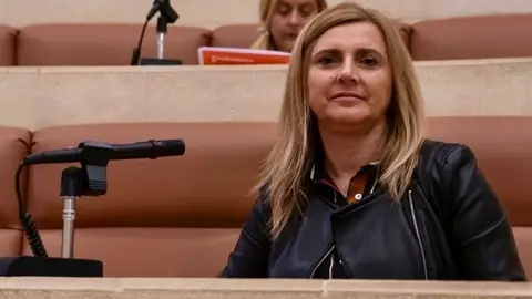 Noelia Cobo, portavoz parlamentaria y diputada del PSOE y secretaria de Organizaci&oacute;n del partido en Cantabria