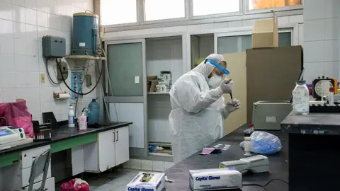 21 May 2020, Egypt, Giza: A picture made available on 23 May 2020 shows a medic analysing swabs taken from patients suspected to have contracted coronavirus at the 6th Of October Central Hospital.