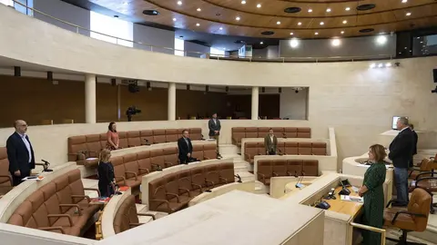 Comisi&oacute;n COVID-19