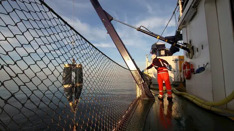 Campa&ntilde;a Bioman.