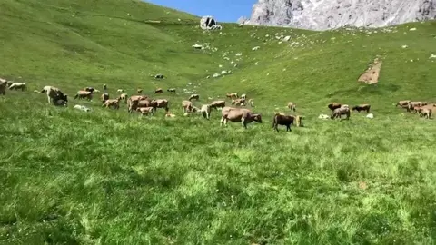 WhatsApp Image 2020-05-30 at 18.24.28