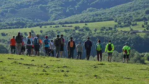 Participantes en la b&uacute;squeda del joven desaparecido en Campoo