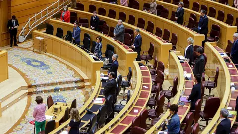 Minuto de silencio por los fallecidos por coronavirus en un Pleno del Senado de mayo.