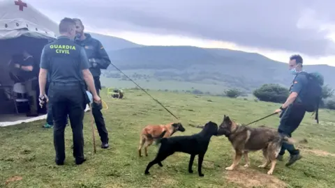 Perros de b&uacute;squeda
