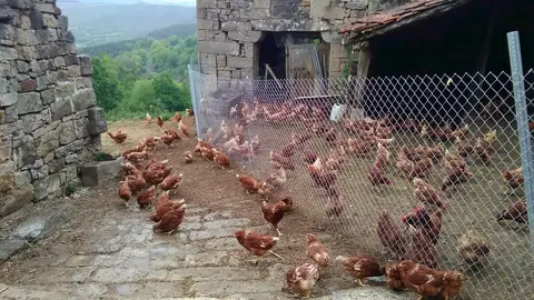 Granja av&iacute;cola anexa al Santuario de Montesclaros