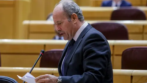 El ministro de Justicia, Juan Carlos Campo, durante el Pleno del Senado 