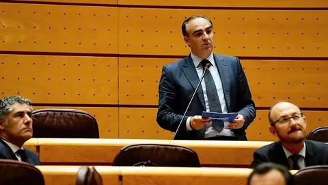 El senador del PP Javier Puente