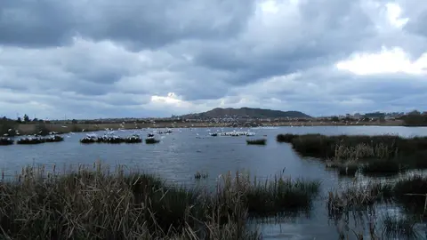 Marismas de Alday. Archivo