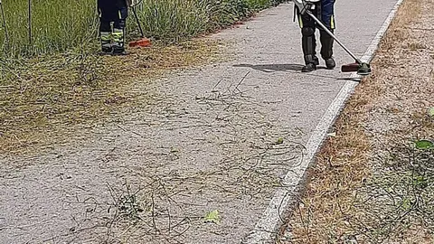 Tareas de desbroce en Suances