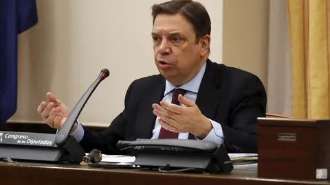 El ministro de Agricultura, Pesca y Alimentaci&oacute;n, Luis Planas.