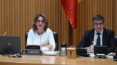 La vicepresidenta cuarta y ministra para la Transici&oacute;n Ecol&oacute;gica y el Reto Demogr&aacute;fico, Teresa Ribera, durante su comparecencia ante la Comisi&oacute;n para la Reconstrucci&oacute;n Social y Econ&oacute;mica del Congreso., en Madrid (Espa&ntilde;a), a 4 de mayo de 2020.