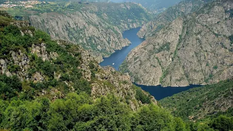 R&iacute;o Mi&ntilde;o, en la demarcaci&oacute;n hidrogr&aacute;fica del Mi&ntilde;o-Sil.