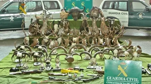 Operaci&oacute;n del SEPRONA de la Guardia Civil incauta efectos de caza furtiva.