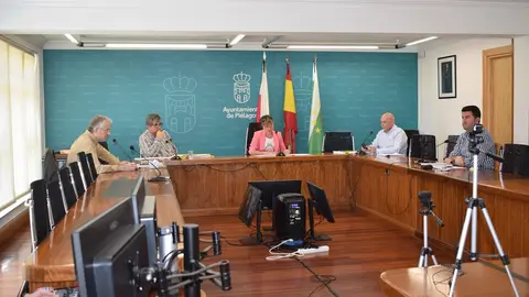 Pleno del Ayuntamiento de Pi&eacute;lagos
