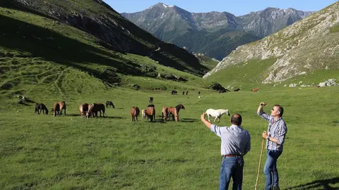 El consejero de Ganader&iacute;a, Guillermo Blanco, y el alcalde de Camale&ntilde;o, durante la subida del ganado al puerto de &Aacute;liva