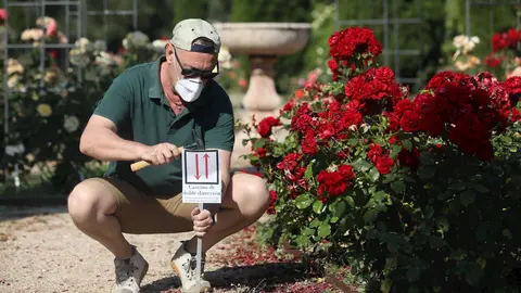 Un trabajador coloca un cartel que se&ntilde;aliza que el camino es de doble direcci&oacute;n en el Real Jard&iacute;n Bot&aacute;nico Juan Carlos I de la Universidad de Alcal&aacute;. En Alcal&aacute; de Henares, Madrid (Espa&ntilde;a), a 3 de junio de 2020.