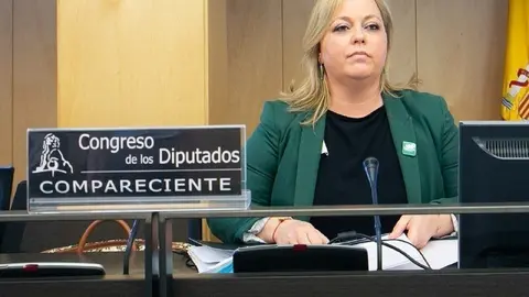 Mari Carmen Morillas, de la Confederaci&oacute;n Espa&ntilde;ola de Asociaciones de Madres y Padres del Alumnado (CEAPA), este lunes 8 de junio en el Congreso.