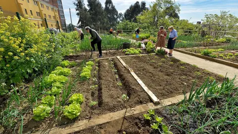Huerto urbano de Santander