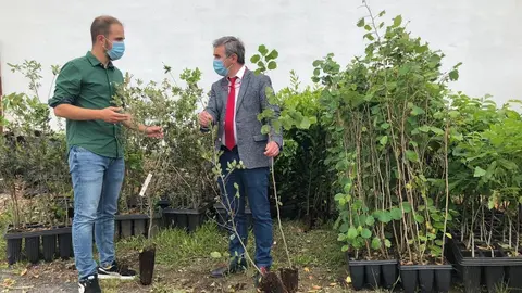 Entrega de &aacute;rboles por consumir en el comercio local