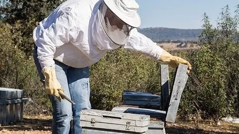 Un apicultor ante una colmena de abejas. Archivo