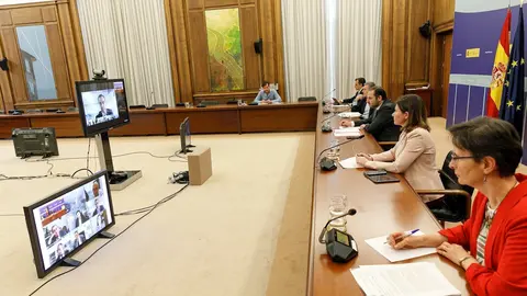 El ministro de Transportes, Jos&eacute; Luis &Aacute;balos, se reune de forma telem&aacute;tica con la rama de viajeros del Comit&eacute; Nacional del Transporte