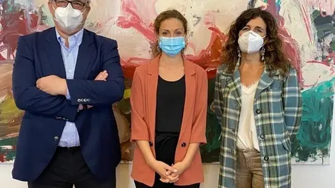 La delegada del Gobierno en Cantabria, Ainoa Qui&ntilde;ones, con los presidentes de ambos colegios profesionales, Javier Hern&aacute;ndez de Sande y Roc&iacute;o Carde&ntilde;oso