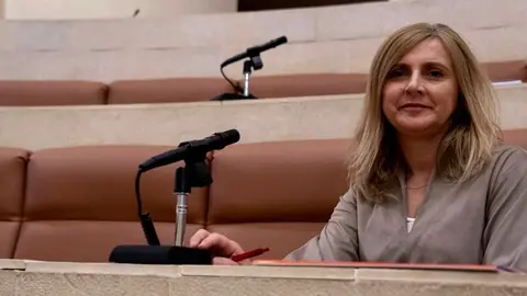 La secretaria de Organizaci&oacute;n y portavoz parlamentaria del PSOE de Cantabria, Noelia Cobo