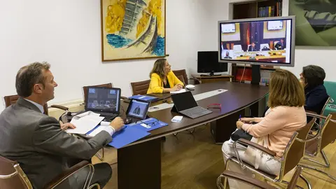 El consejero de Desarrollo Rural, Guillermo Blanco, en la videoconferencia