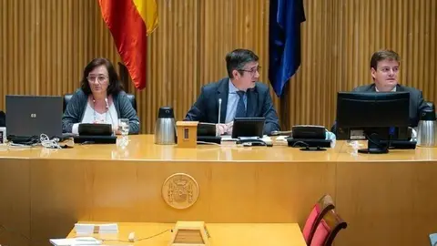 La presidenta de la AIReF, Cristina Herrero, en su comparecencia ante la Comisi&oacute;n para la reconstrucci&oacute;n del Congreso