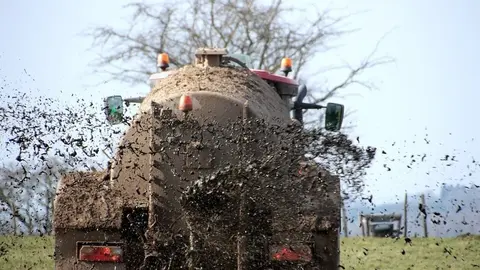 Trabajos de agricultura