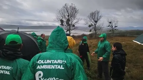 Voluntarios del Provoca plantan &aacute;rboles en Campoo de Yuso