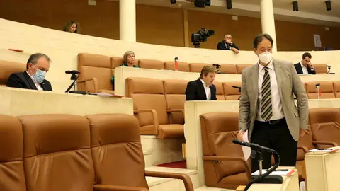 Gochicoa en el Parlamento 