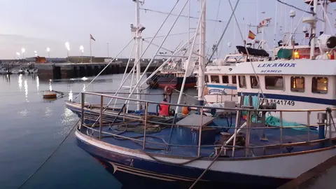 Barcos de pesca de bajura amarrados en el Puerto de Bermeo (Bizkaia)