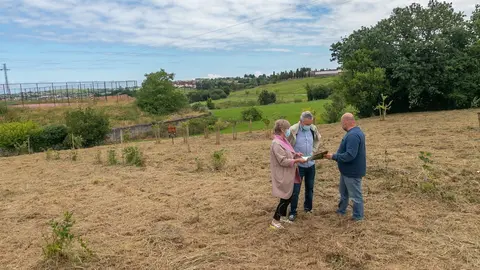 Lugar donde se ubicar&aacute; la pista multideporte de Polanco