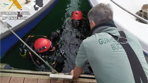 Nota De Prensa La Guarcia Civil Desmantela Vivero Clandestino En El Puerto De Santander