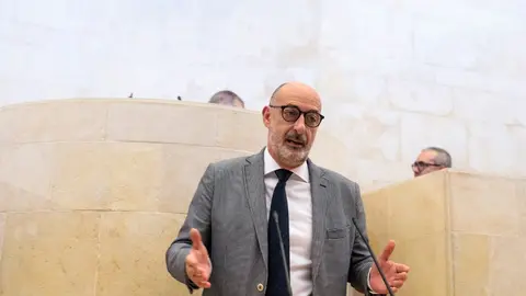 F&eacute;lix Alvarez, en la tribuna del Pleno del Parlamento 