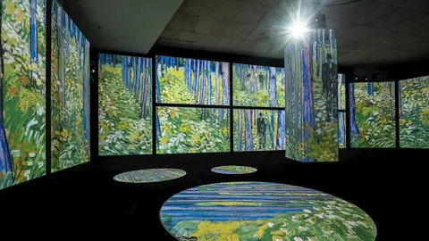 Exposici&oacute;n 'Van Gogh Alive - The Experience'