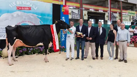 El consejero de Desarrollo Rural, Ganader&iacute;a, Pesca, Alimentaci&oacute;n y Medio Ambiente, Guillermo Blanco, tras el Concurso Regional  Ganado Fris&oacute;n XXIV 'Memorial Jos&eacute; Ruiz Ruiz' en el Mercado Nacional de Ganados de Torrelavega