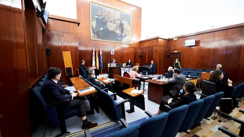 Vista general del Pleno de Santander 