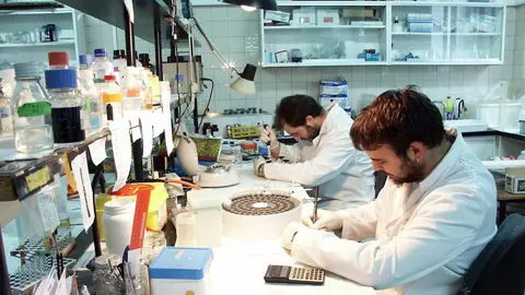 Laboratorio. Archivo