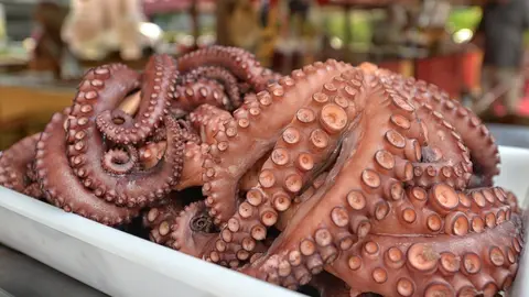 Cooked octopus