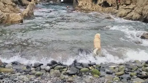 Bomberos Castro rastrean zona Pedregal
