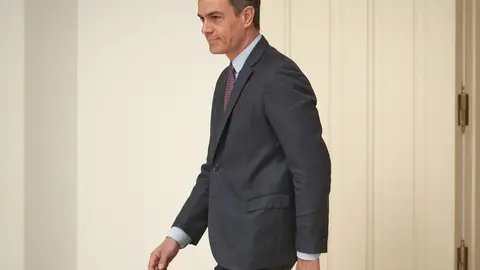 El presidente del Gobierno, Pedro S&aacute;nchez.